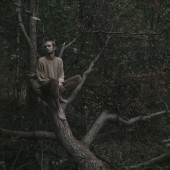 постер к песни лампабикт, Элли на маковом поле - немерено